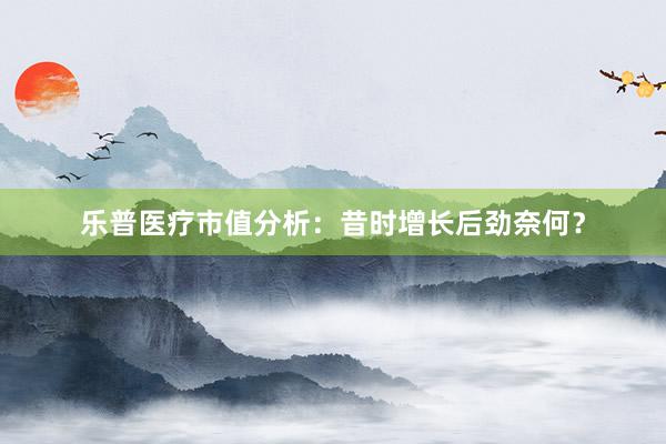 乐普医疗市值分析：昔时增长后劲奈何？