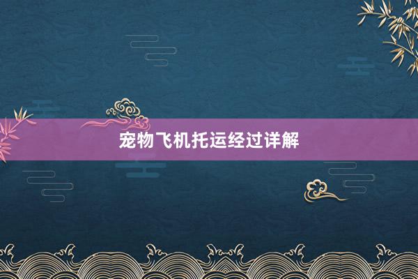 宠物飞机托运经过详解