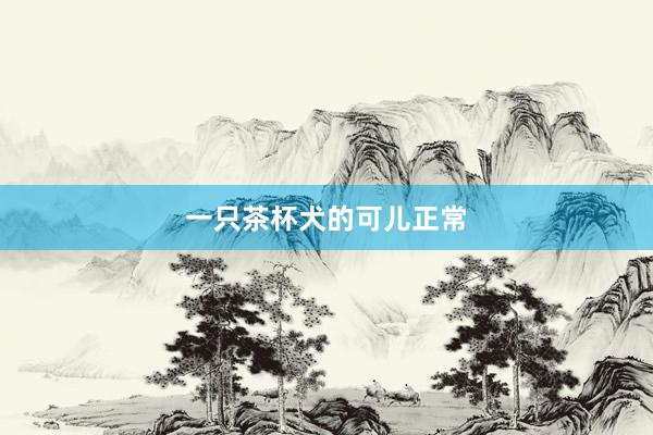 一只茶杯犬的可儿正常
