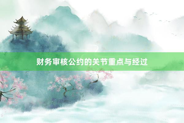 财务审核公约的关节重点与经过